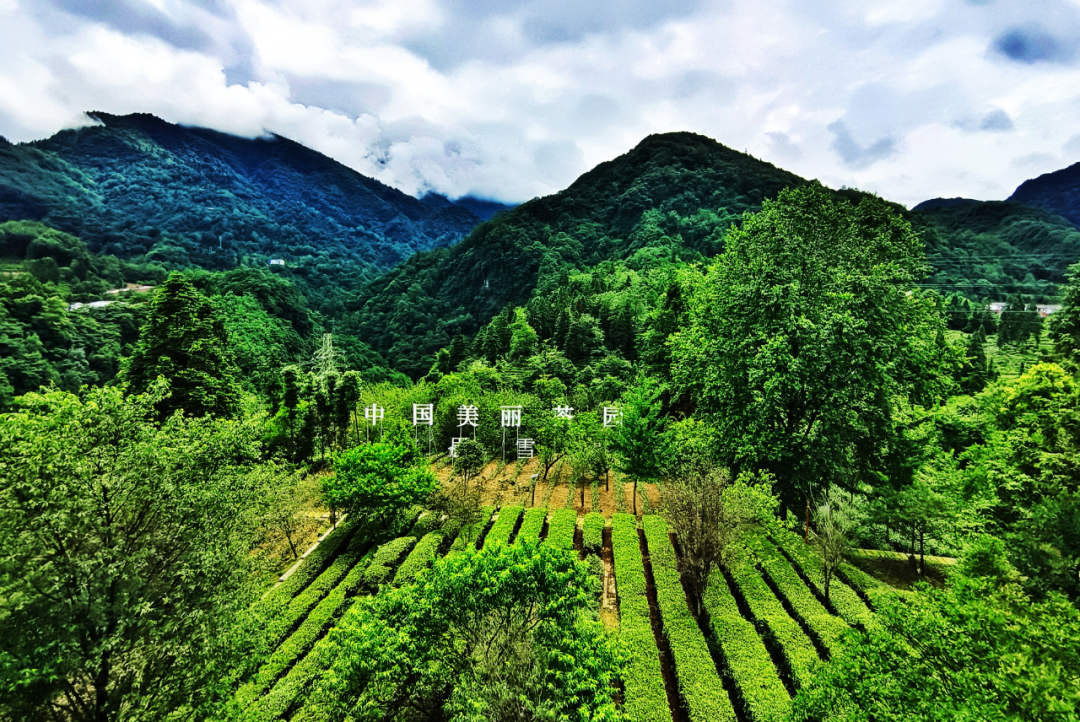 pp电子(中国游)官方在线平台