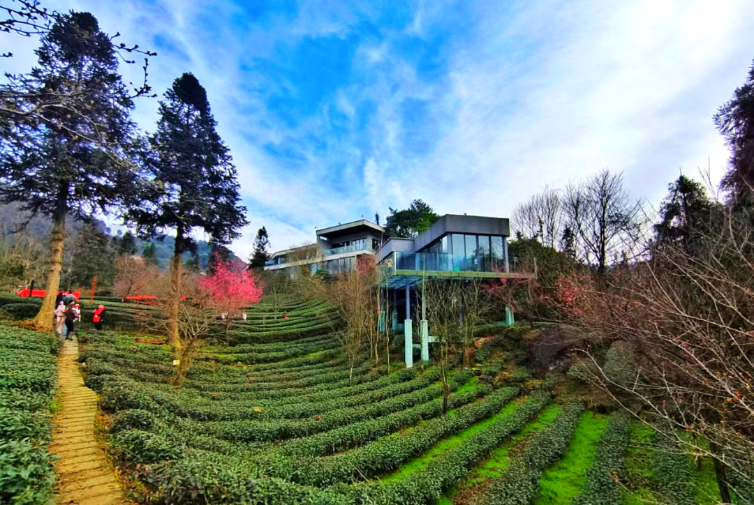 pp电子(中国游)官方在线平台